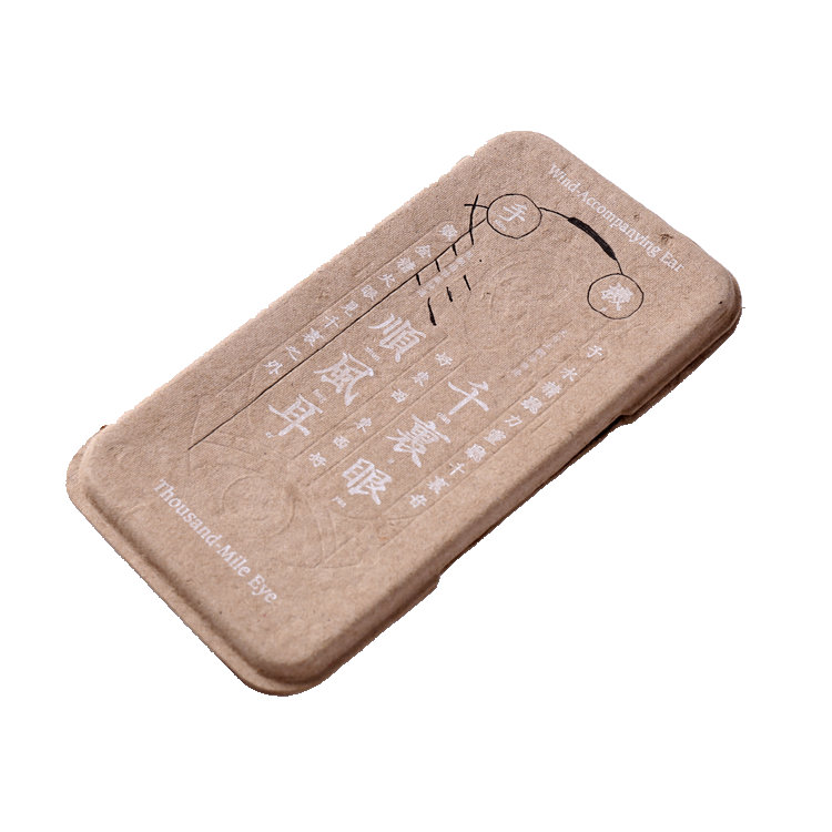 Custom Pulp Molding Phone Case Packaging Box Eco Friendly