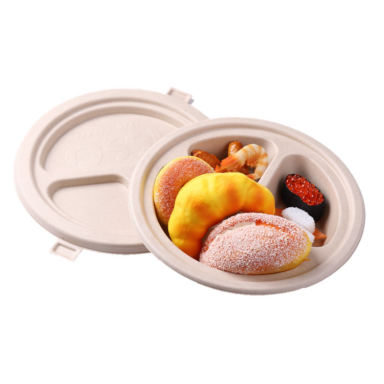 Biodegradable Compostable Sugarcane Bagasse Pulp Molded Food Container with Lid