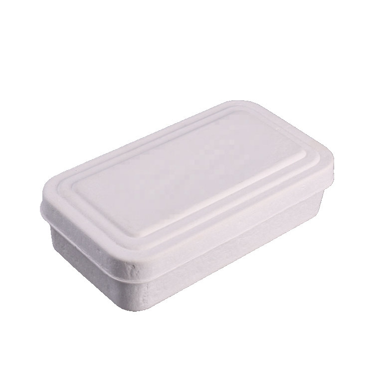 Custom Molded Fiber Pulp Packaging Box with Lid for Clothes & Shoes