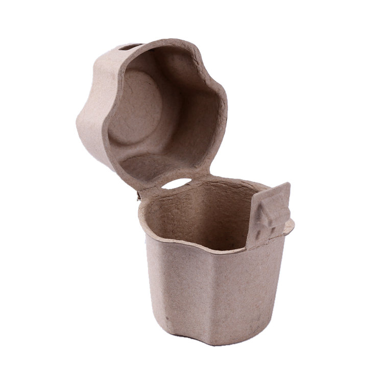 6x6x3 BIODEGRADABLE COMPOSTABLE BAGASSE PULP HINGED CONTAINERS 500C — P  Plus Packaging